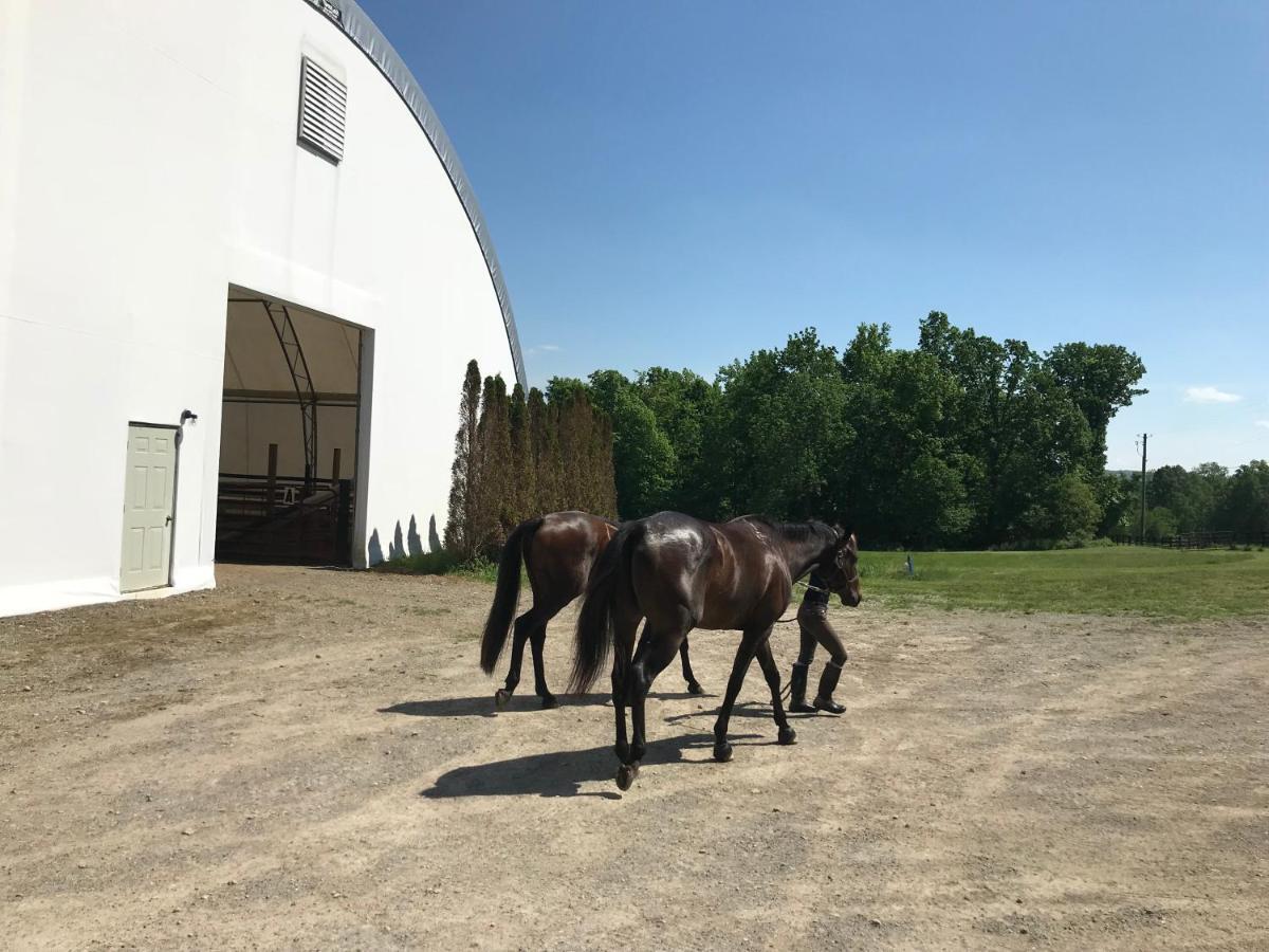 Hotel Letchworth Farm Nunda Zewnętrze zdjęcie